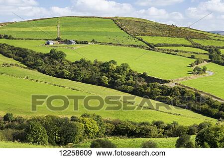 Stock Photo - Lush green hilly pastures with trees separating fields and blue sky and clouds. Fotosearch