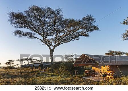 Luxury mobile tented camp, Serengeti National Park; Tanzania View Large Photo Image Stock Photography - Luxury mobile tented camp, Serengeti National Park; Tanzania. Fotosearch