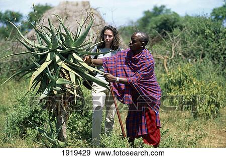 Maasai Guide Takes Toursit On Walk View Large Photo Image Stock Photo - Maasai Guide Takes Toursit On Walk. Fotosearch