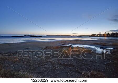 MacKenzie Beach at twilight; Tofino, Vancouver Island, British Columbia, Canada View Large Photo Image Stock Photo - MacKenzie Beach at twilight; Tofino, Vancouver Island, British Columbia, Canada. Fotosearch