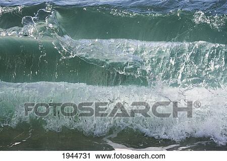 Stock Image - Magellanic Penguin (Spheniscus Magellanicus)Swimming In The Sea By San Lorenzo Penguin Colony, Peninsula Valdes, Chubut, Argentina. Fotosearch