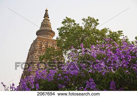 Picture - Mahabodi Temple At Dusk, Bodhgaya, Bihar, India. Fotosearch