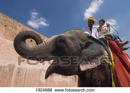 Mahout And Tourist On Elephant, Amber Fort Near Jaipur, Rajasthan, India View Large Photo Image Stock Photo - Mahout And Tourist On Elephant, Amber Fort Near Jaipur, Rajasthan, India. Fotosearch
