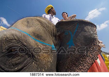 Mahout And Tourist On Elephant At Amber Fort View Large Photo Image Picture - Mahout And Tourist On Elephant At Amber Fort. Fotosearch