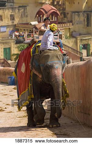 Stock Photography - Mahout And Tourist On Elephant At Amber Fort. Fotosearch