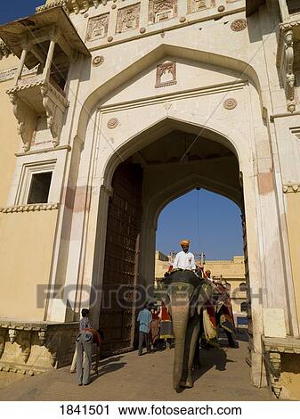 Mahouts Riding Their Elephants Trough Gate At Amber Fort; Amber, Jaipur, Rajasthan, India View Large Photo Image Stock Image - Mahouts Riding Their Elephants Trough Gate At Amber Fort; Amber, Jaipur, Rajasthan, India. Fotosearch