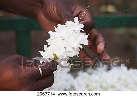 Picture - Making Flower Offerings For Sale Outside The Mahabodi Temple, Bodhgaya, Bihar, India. Fotosearch