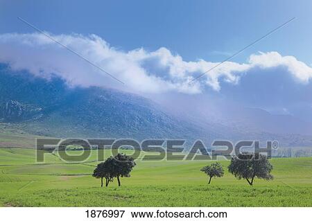 Stock Photo - Malaga, Andalusia, Spain; Springtime Landscape Near Antequera. Fotosearch
