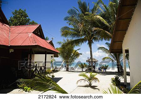 Picture - Malaysia, Pantai Cenang (Cenang beach); Pulau Langkawi, Beach huts on white sandy beach with palm trees. Fotosearch