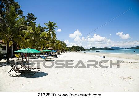 Stock Image - Malaysia, Pantai Cenang (Cenang beach); Pulau Langkawi, Deck chairs under parasol on white sandy beach with palm trees overlooking blue sea. Fotosearch