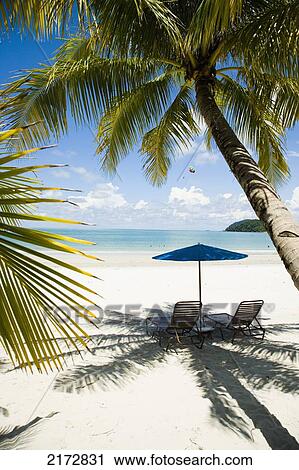 Stock Image - Malaysia, Pantai Cenang (Cenang beach); Pulau Langkawi, Deck chairs under parasol on white sandy beach with palm trees overlooking blue sea. Fotosearch