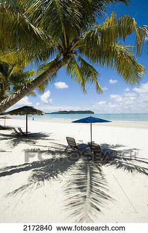 Stock Image - Malaysia, Pantai Cenang (Cenang beach); Pulau Langkawi, Deck chairs under parasol on white sandy beach with palm trees overlooking blue sea. Fotosearch
