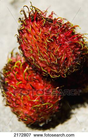 Malaysia, Pantai Cenang (Cenang beach); Pulau Langkawi, Rambutan fruit View Large Photo Image Stock Photo - Malaysia, Pantai Cenang (Cenang beach); Pulau Langkawi, Rambutan fruit. Fotosearch