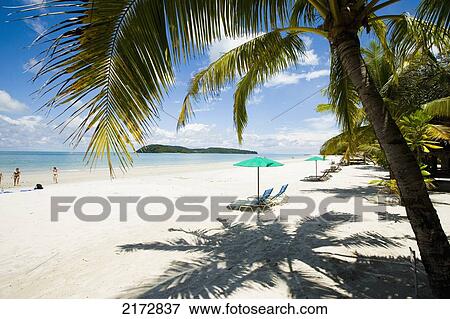 Malaysia, Pantai Cenang (Cenang beach); Pulau Langkawi, Deck chairs under parasol on white sandy beach with palm trees overlooking blue sea View Large Photo Image Stock Photo - Malaysia, Pantai Cenang (Cenang beach); Pulau Langkawi, Deck chairs under parasol on white sandy beach with palm trees overlooking blue sea. Fotosearch