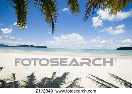 Malaysia, Pantai Cenang (Cenang beach); Pulau Langkawi, White sandy beach with palm trees looking out to blue sea View Large Photo Image Stock Photo - Malaysia, Pantai Cenang (Cenang beach); Pulau Langkawi, White sandy beach with palm trees looking out to blue sea. Fotosearch