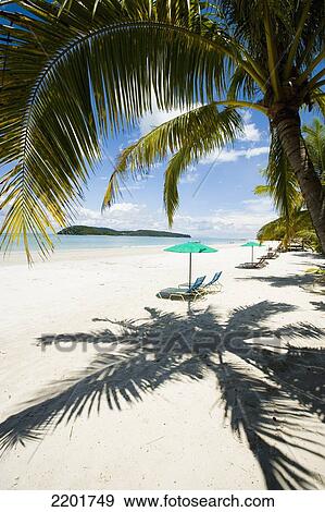 Malaysia, Pulau Langkawi, Deck chairs under parasol on white sandy beach with palm trees overlooking blue sea; Pantai Cenang (Cenang beach) View Large Photo Image Stock Photo - Malaysia, Pulau Langkawi, Deck chairs under parasol on white sandy beach with palm trees overlooking blue sea; Pantai Cenang (Cenang beach). Fotosearch
