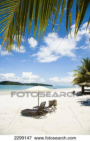 Stock Photo - Malaysia, Pulau Langkawi, Deck chairs under parasol on white sandy beach with palm trees overlooking blue sea; Pantai Cenang (Cenang beach). Fotosearch