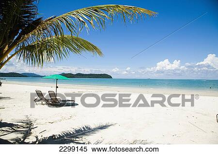 Stock Photography - Malaysia, Pulau Langkawi, Deck chairs under parasol on white sandy beach with palm trees overlooking blue sea; Pantai Cenang (Cenang beach). Fotosearch