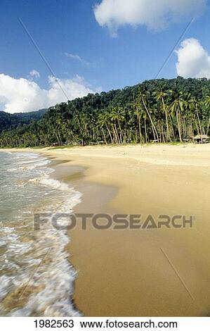 Stock Image - Malaysia, Tioman Island, palms line shore of a tropical white sand beach. Fotosearch