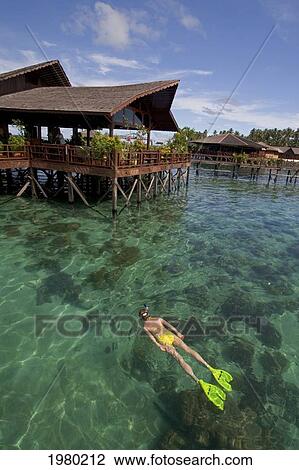 Stock Image - Malaysia, Woman snorkeling over coral reef below Sipidan Water Village Resort; Mabul Island. Fotosearch