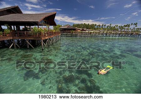 Malaysia, Woman snorkeling over coral reef below Sipidan Water Village Resort; Mabul Island View Large Photo Image Stock Image - Malaysia, Woman snorkeling over coral reef below Sipidan Water Village Resort; Mabul Island. Fotosearch