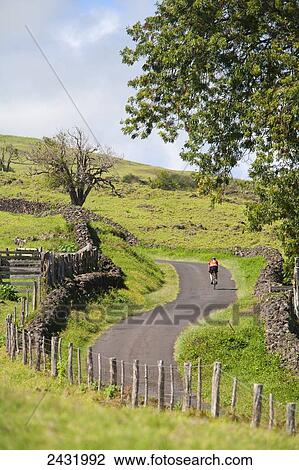 Stock Image - Male cyclist biking on Thompson Road; Ulupalakua, Maui, Hawaii, United States of America. Fotosearch