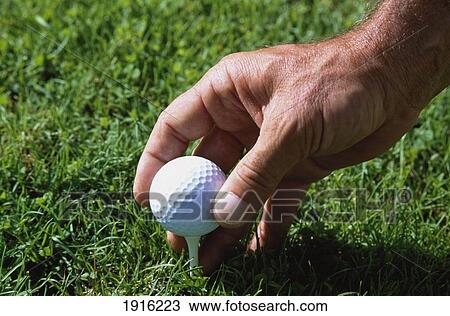 Male Hand Placing Golf Ball On Tee View Large Photo Image Stock Image - Male Hand Placing Golf Ball On Tee. Fotosearch