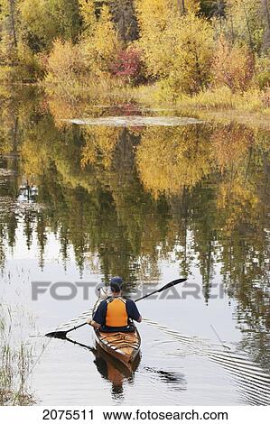 Male Kayaker Paddling On Calm Stream In The Fall With Colours Reflecting On Water; Calgary Alberta Canada View Large Photo Image Stock Image - Male Kayaker Paddling On Calm Stream In The Fall With Colours Reflecting On Water; Calgary Alberta Canada. Fotosearch