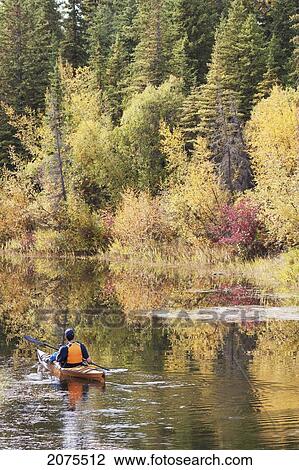 Male Kayaker Paddling On Calm Stream In The Fall With Colours Reflecting On Water; Calgary Alberta Canada View Large Photo Image Stock Image - Male Kayaker Paddling On Calm Stream In The Fall With Colours Reflecting On Water; Calgary Alberta Canada. Fotosearch
