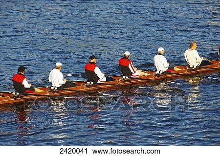 Stock Image - Male rowers in a row boat on the water; Hamburg, Germany. Fotosearch