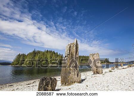Mamalilikulla An Abandoned First Nations Village Site On Village Island Near Alert Bay; British Columbia Canada View Large Photo Image Stock Photo - Mamalilikulla An Abandoned First Nations Village Site On Village Island Near Alert Bay; British Columbia Canada. Fotosearch