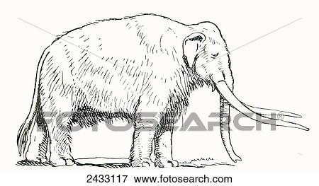 Stock Photo - Mammoth. After a work c. 1920. Fotosearch