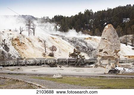 Mammoth Hot Springs In Yellowstone National Park; Wyoming United States Of America View Large Photo Image Stock Photo - Mammoth Hot Springs In Yellowstone National Park; Wyoming United States Of America. Fotosearch