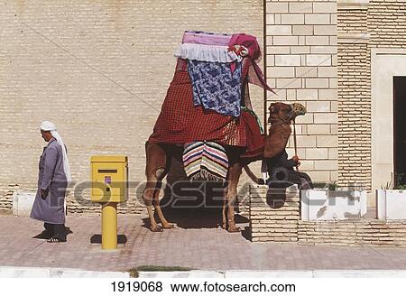 Stock Photo - Man And Camel At Kairouan. Fotosearch
