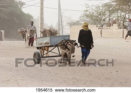 Stock Photography - Man and donkey cart, Timbuktu, Mali. Fotosearch