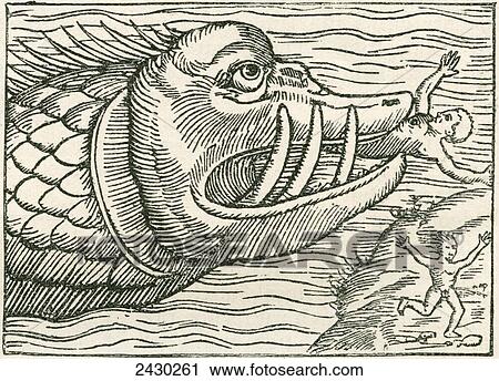 Stock Image - Man being eaten by a sea serpent. Illustration found on the margin of a map prepared by Olaus Magnus, 15th century Swedish geographer. From The Strand Magazine published 1897.. Fotosearch