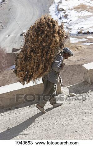 Man Carrying Brushwood Near Zarkharid, Vardak Province, Afghanistan View Large Photo Image Stock Image - Man Carrying Brushwood Near Zarkharid, Vardak Province, Afghanistan. Fotosearch