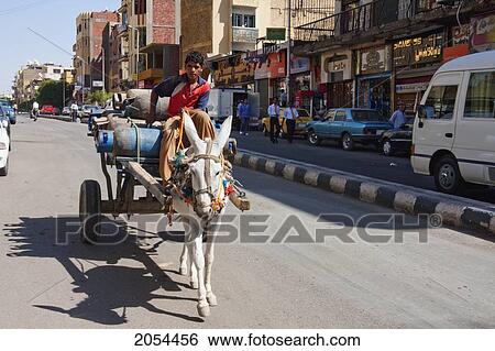 Stock Photograph - Man Carrying Gas Cylinders On A Donkey Cart, Aswan, Egypt. Fotosearch
