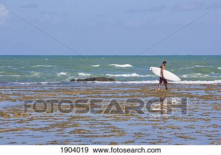 Stock Photo - Man Carrying Surfboard At Praia Do Forte, Bahia, Brazil. Fotosearch