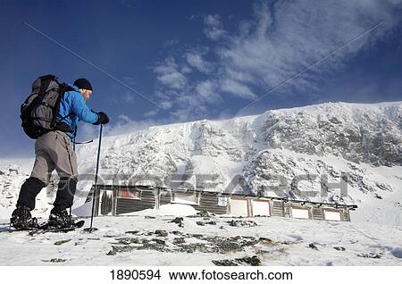 Man Cross-Country Skiing View Large Photo Image Picture - Man Cross-Country Skiing. Fotosearch
