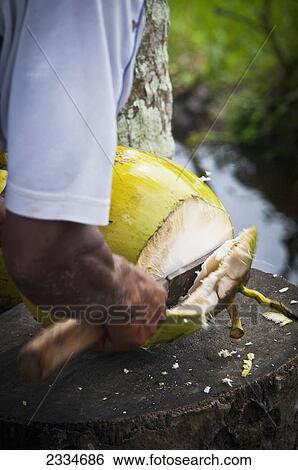 Man Cutting Tropical Fruit; Ubud, Bali, Indonesia View Large Photo Image Stock Photograph - Man Cutting Tropical Fruit; Ubud, Bali, Indonesia. Fotosearch