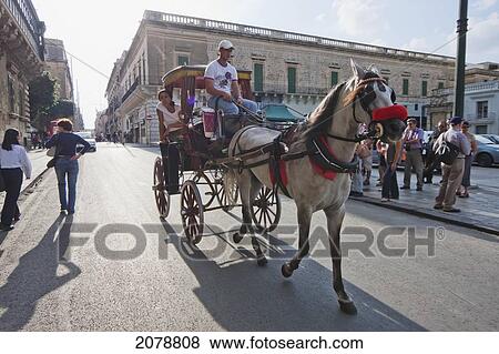 Stock Photo - Man Driving A Carrozin (Horse Carriage), Valletta, Malta. Fotosearch