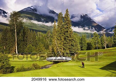 Man Golfing At Smithers Golf Course And Hudson Bay Mountain, British Columbia View Large Photo Image Stock Photograph - Man Golfing At Smithers Golf Course And Hudson Bay Mountain, British Columbia. Fotosearch