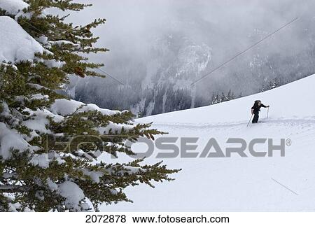 Man Heading Towards Thar Basin, Cascade Mountains, British Columbia View Large Photo Image Stock Photo - Man Heading Towards Thar Basin, Cascade Mountains, British Columbia. Fotosearch