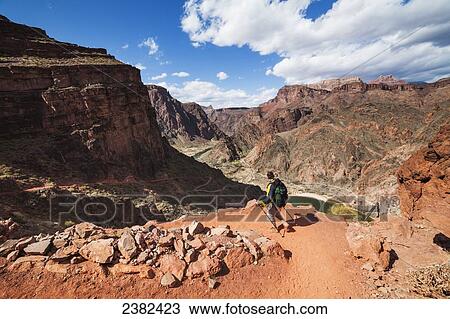 Stock Image - Man hikes down the Kaibib trail in the Grand Canyon National Park; Arizona, United States of America. Fotosearch