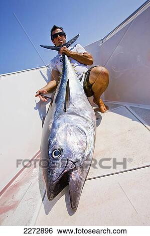 Stock Photograph - Man holding a bluefin tuna; chatham massachusetts usa. Fotosearch