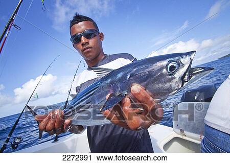Man holding a bonito fish; panama View Large Photo Image Stock Image - Man holding a bonito fish; panama. Fotosearch