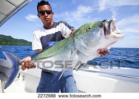 Stock Photo - Man holding a jack fish; panama. Fotosearch