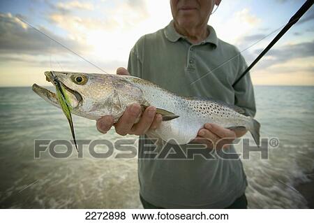 Stock Photo - Man holding a sea trout; florida usa. Fotosearch