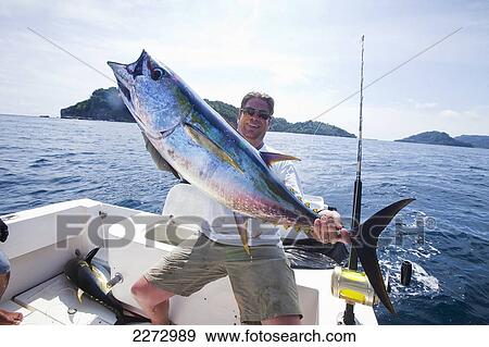 Stock Photo - Man holding a yellowfin tuna; panama. Fotosearch